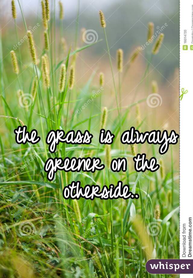the grass is always greener on the otherside..