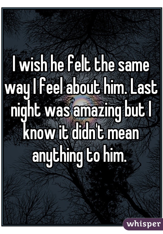 I wish he felt the same way I feel about him. Last night was amazing but I know it didn't mean anything to him. 