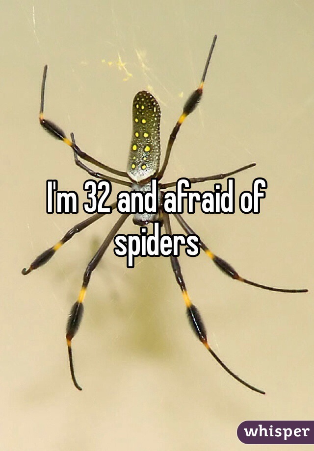 I'm 32 and afraid of spiders 