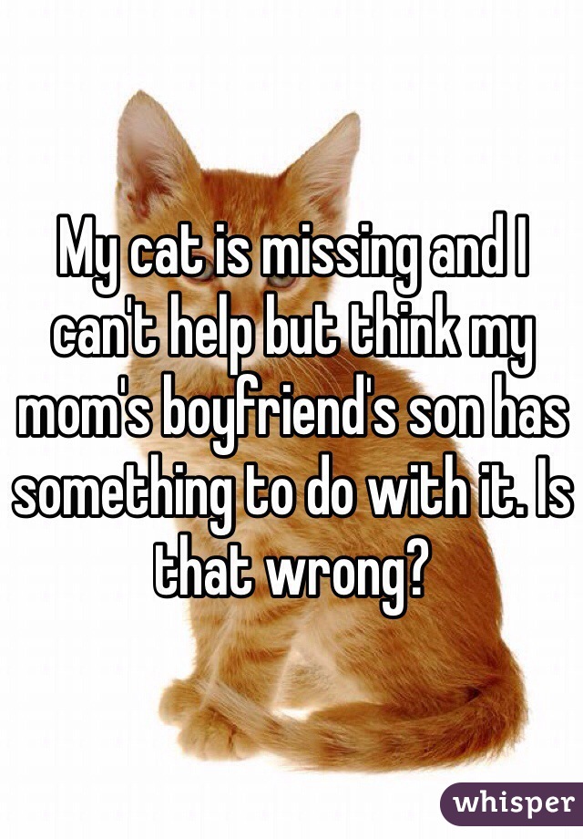 My cat is missing and I can't help but think my mom's boyfriend's son has something to do with it. Is that wrong?