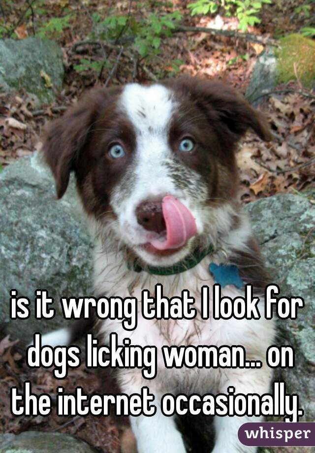 is it wrong that I look for dogs licking woman... on the internet occasionally. 