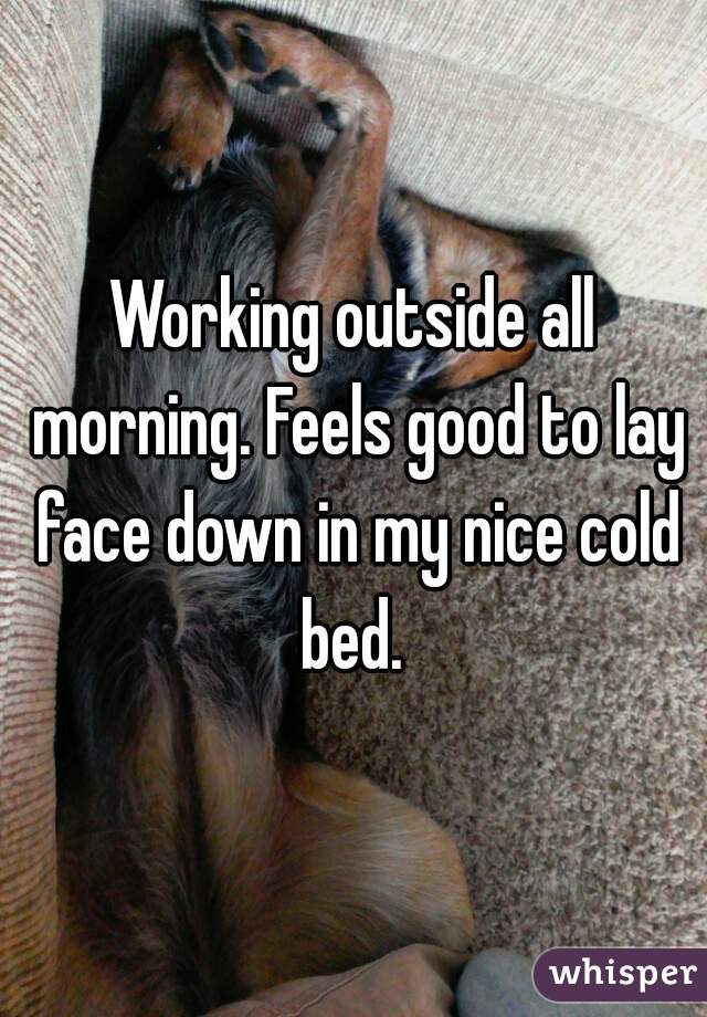 Working outside all morning. Feels good to lay face down in my nice cold bed. 