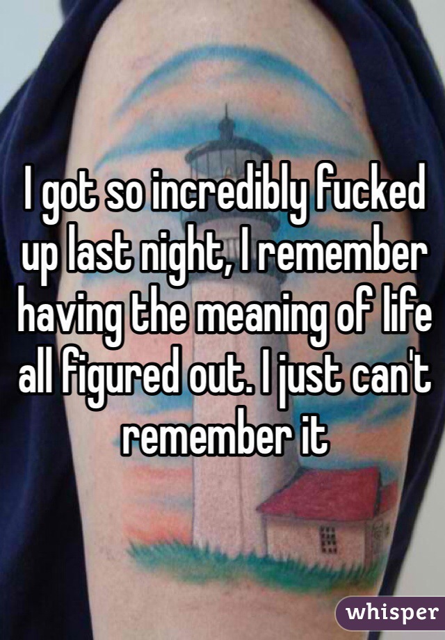 I got so incredibly fucked up last night, I remember having the meaning of life all figured out. I just can't remember it