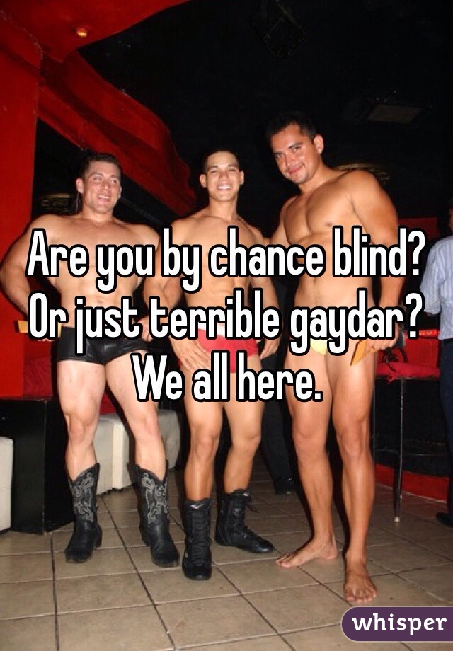 Are you by chance blind? Or just terrible gaydar? We all here.