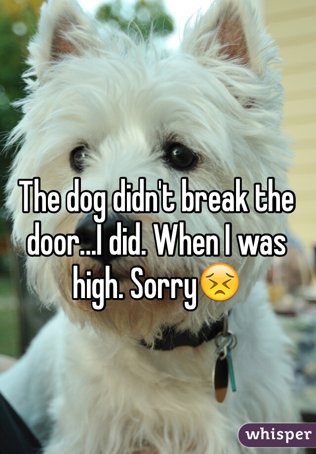 The dog didn't break the door...I did. When I was high. Sorry😣