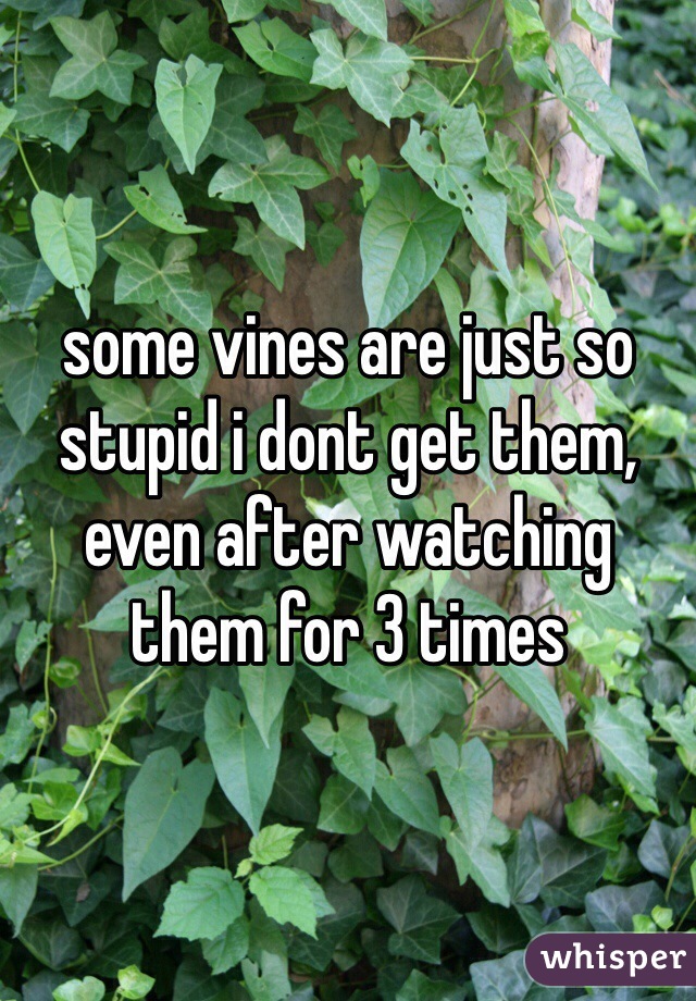 some vines are just so stupid i dont get them, even after watching them for 3 times