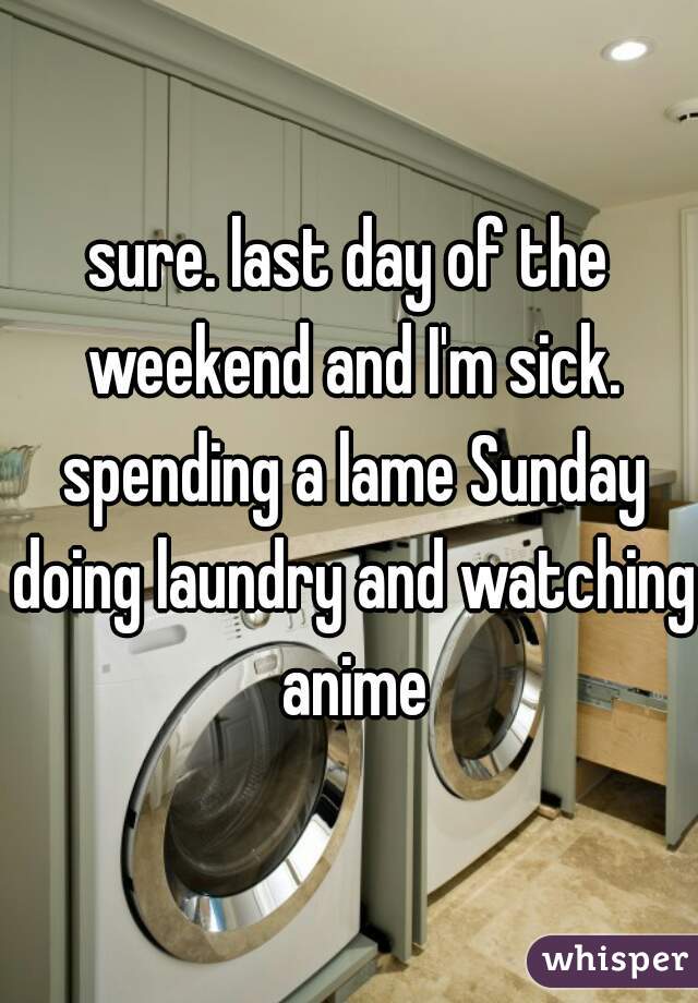 sure. last day of the weekend and I'm sick. spending a lame Sunday doing laundry and watching anime