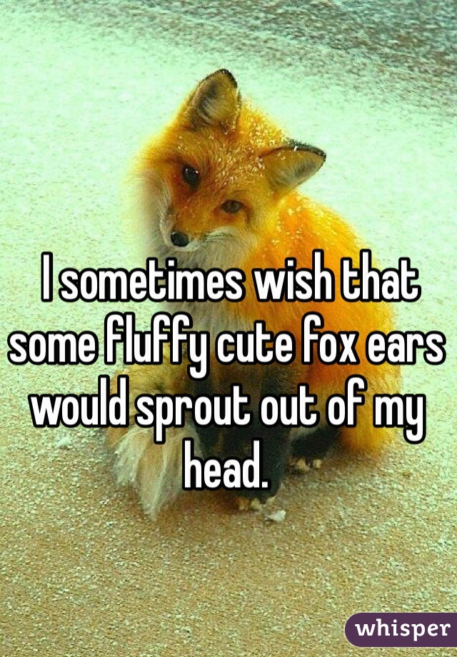  I sometimes wish that some fluffy cute fox ears would sprout out of my head.