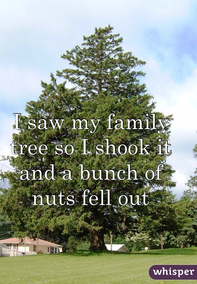I saw my family tree so I shook it and a bunch of nuts fell out