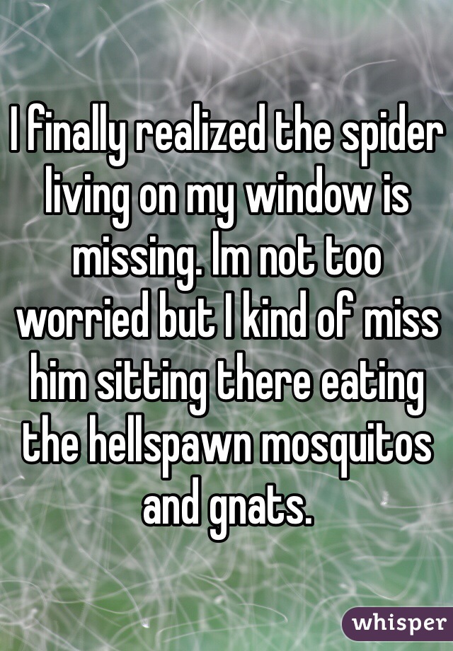 I finally realized the spider living on my window is missing. Im not too worried but I kind of miss him sitting there eating the hellspawn mosquitos and gnats.
