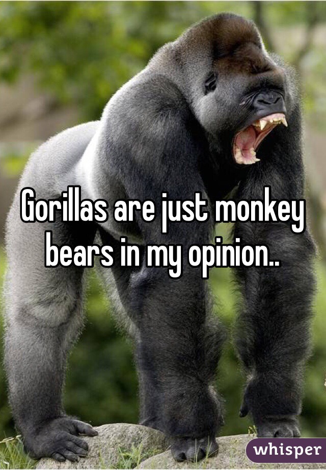 Gorillas are just monkey bears in my opinion.. 