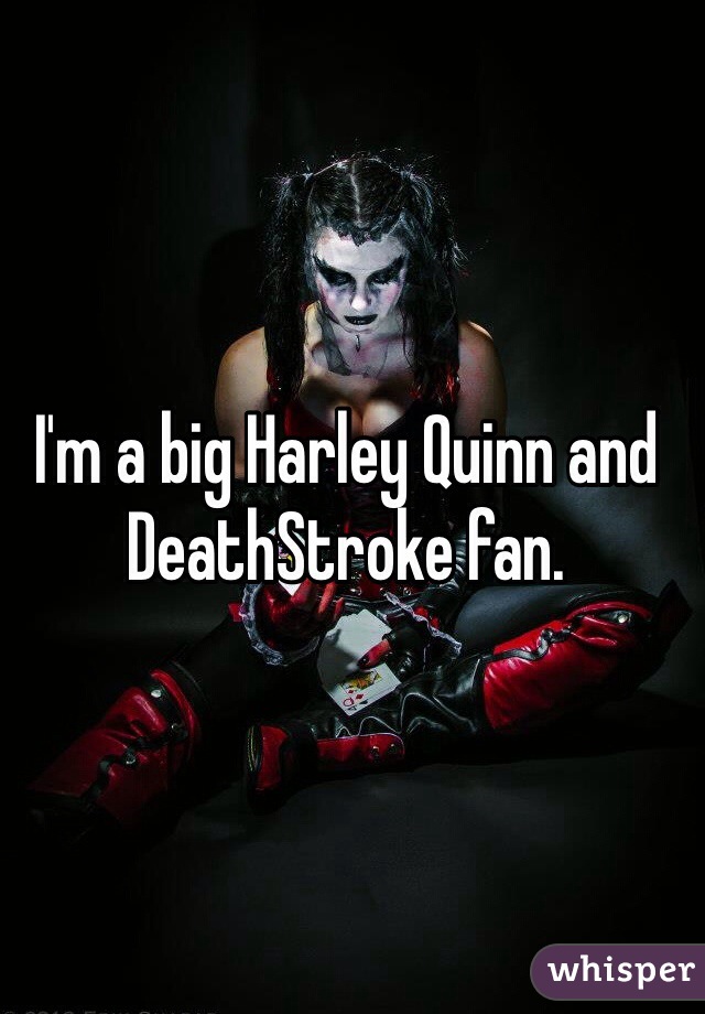 I'm a big Harley Quinn and DeathStroke fan.