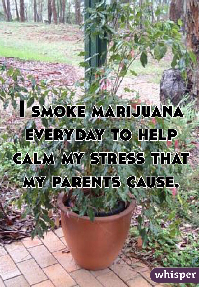 I smoke marijuana everyday to help calm my stress that my parents cause. 
