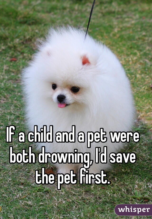 If a child and a pet were both drowning, I'd save the pet first. 