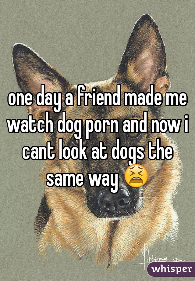one day a friend made me watch dog porn and now i cant look at dogs the same way 😫