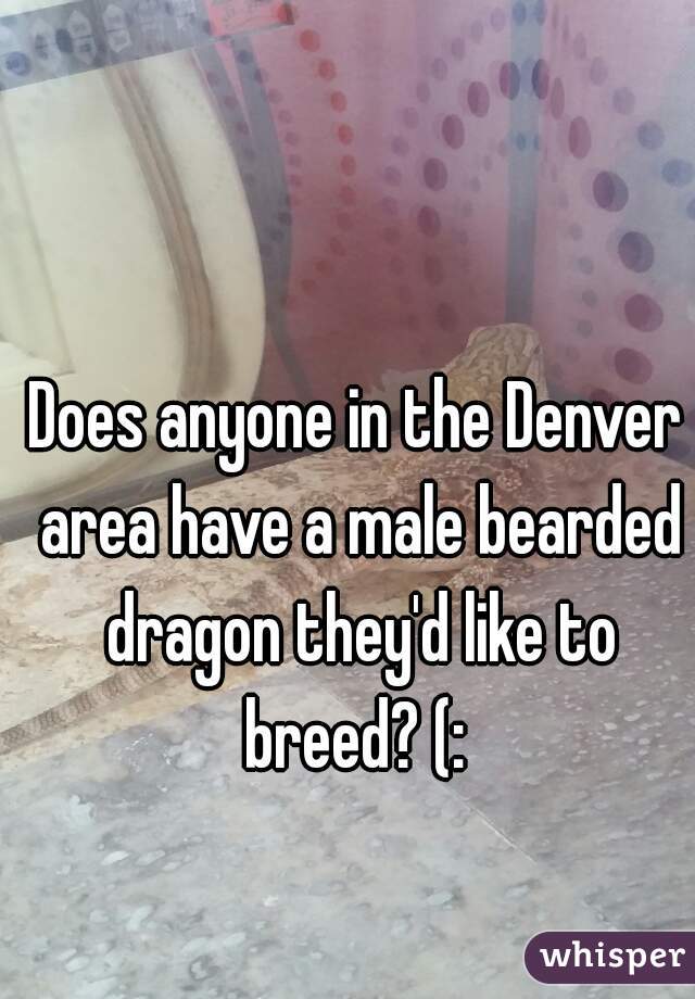 Does anyone in the Denver area have a male bearded dragon they'd like to breed? (: 