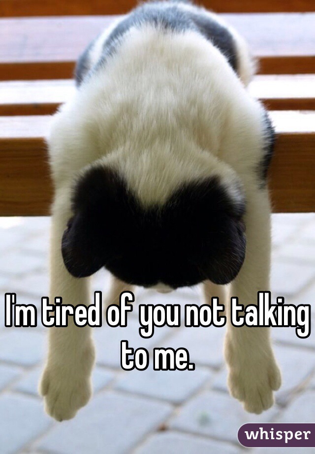 I'm tired of you not talking to me. 