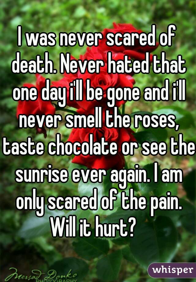 I was never scared of death. Never hated that one day i'll be gone and i'll never smell the roses, taste chocolate or see the sunrise ever again. I am only scared of the pain.
Will it hurt?  