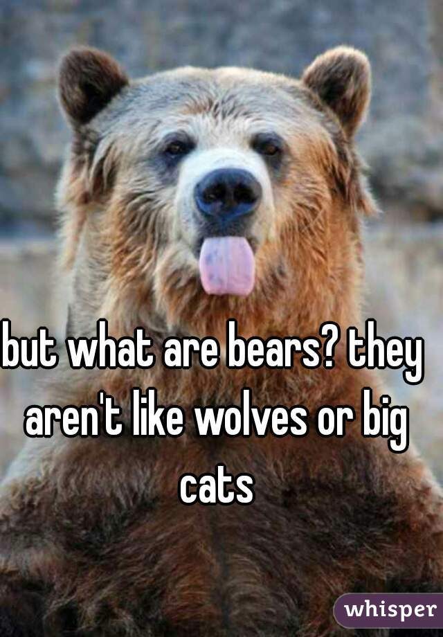 but what are bears? they aren't like wolves or big cats