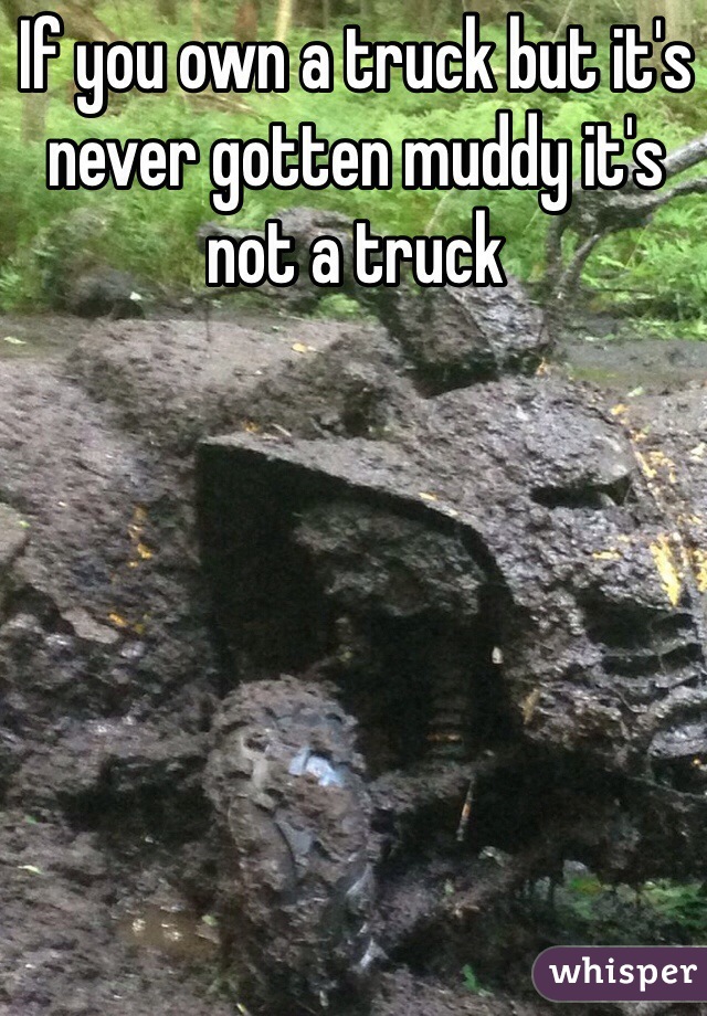 If you own a truck but it's never gotten muddy it's not a truck
