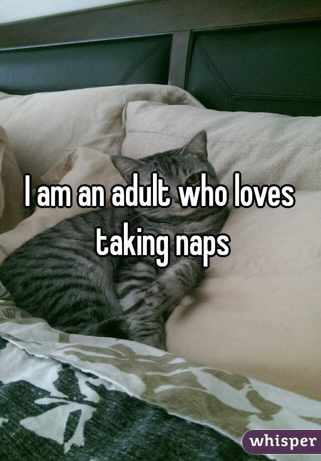 I am an adult who loves taking naps