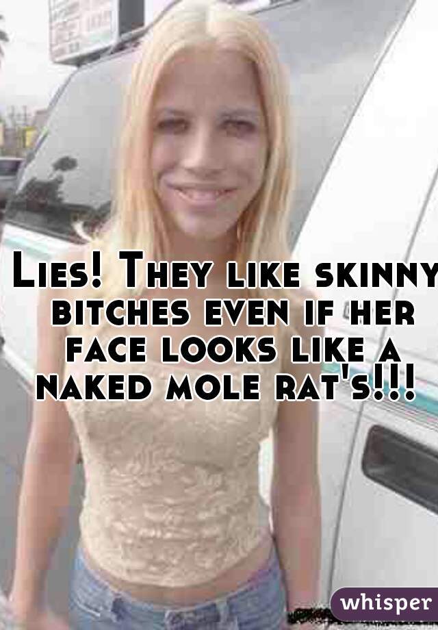 Lies! They like skinny bitches even if her face looks like a naked mole rat's!!! 