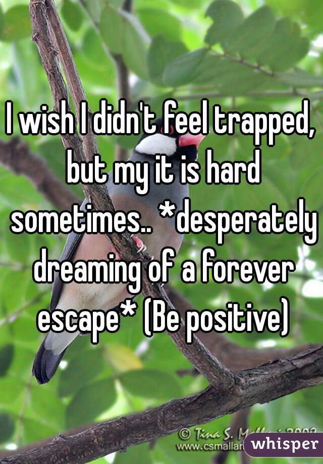 I wish I didn't feel trapped, but my it is hard sometimes.. *desperately dreaming of a forever escape* (Be positive)