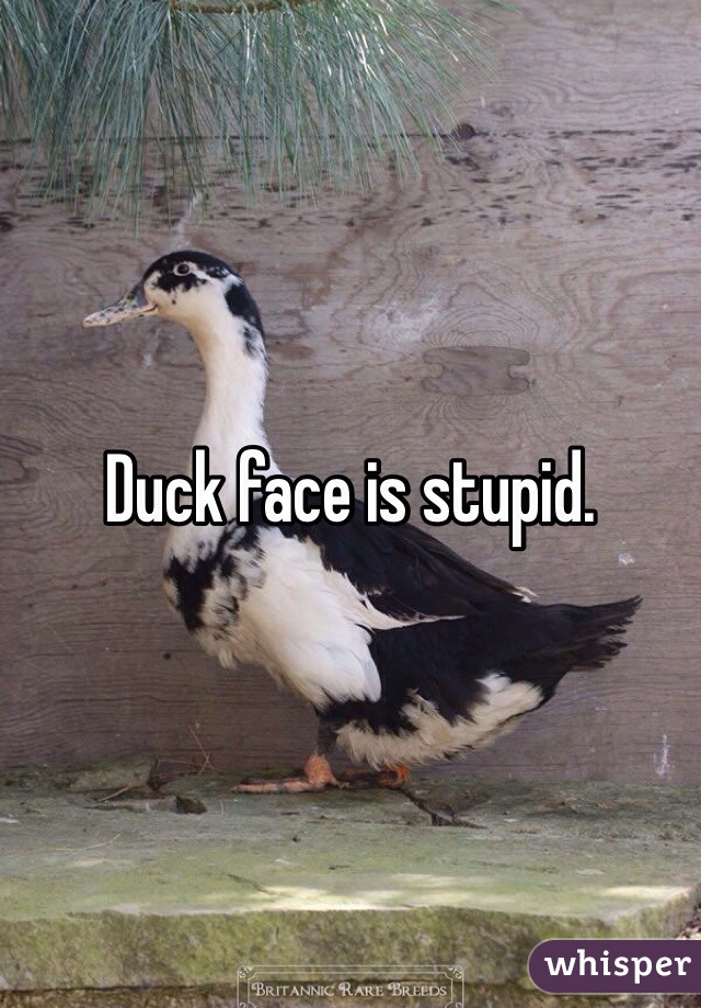 Duck face is stupid. 