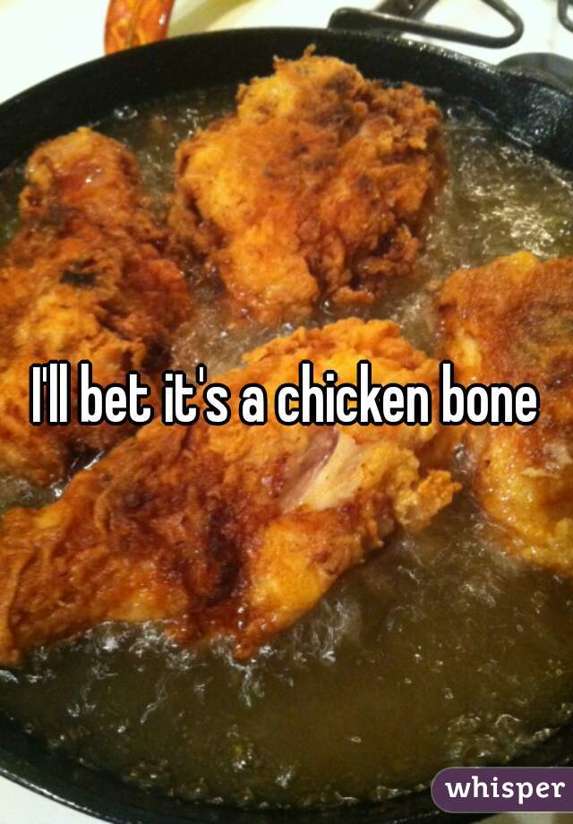 I'll bet it's a chicken bone