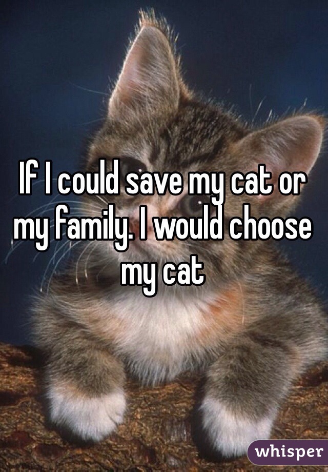 If I could save my cat or my family. I would choose my cat
