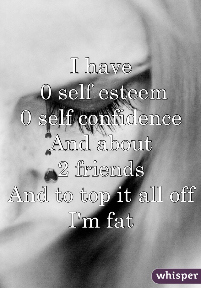 I have
 0 self esteem 
0 self confidence 
And about 
2 friends 
And to top it all off I'm fat 