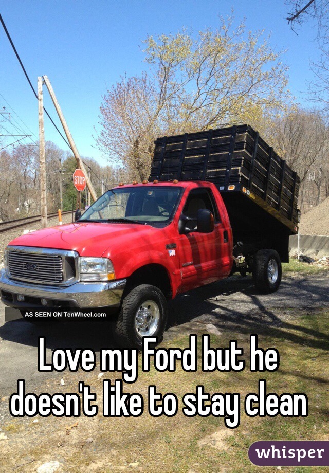 Love my Ford but he doesn't like to stay clean