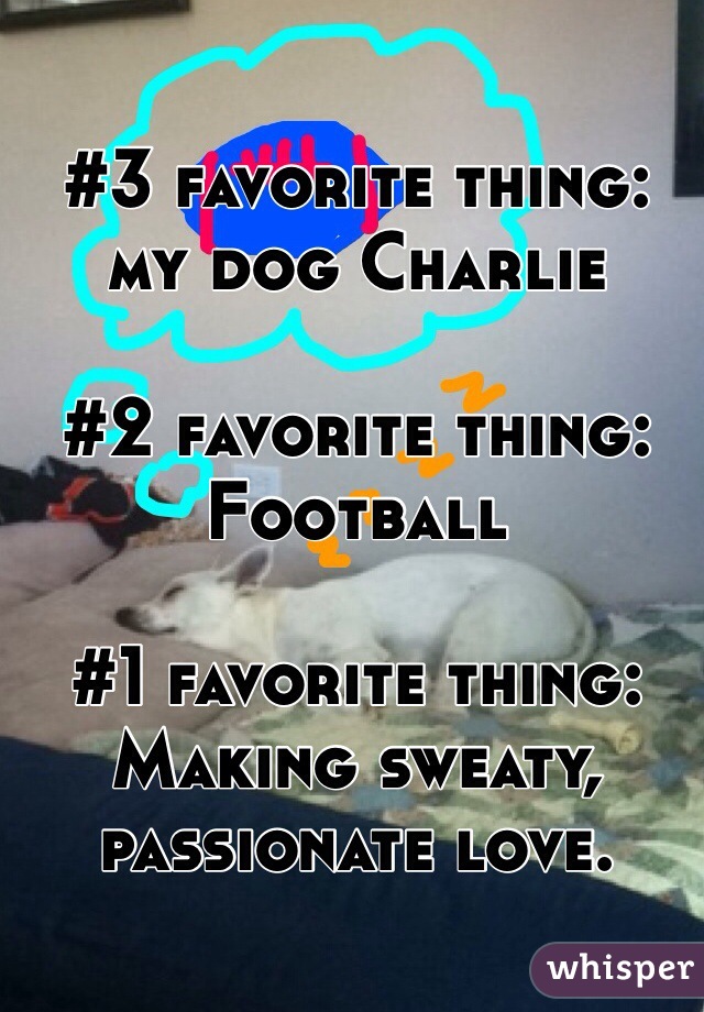 #3 favorite thing: my dog Charlie

#2 favorite thing: Football

#1 favorite thing: Making sweaty, passionate love. 

