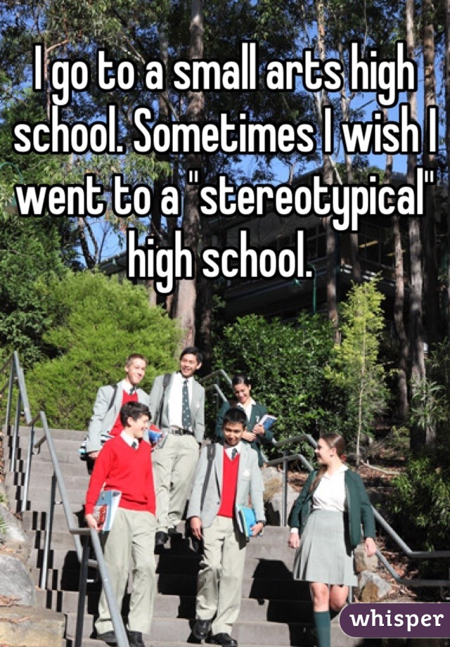 I go to a small arts high school. Sometimes I wish I went to a "stereotypical" high school. 
