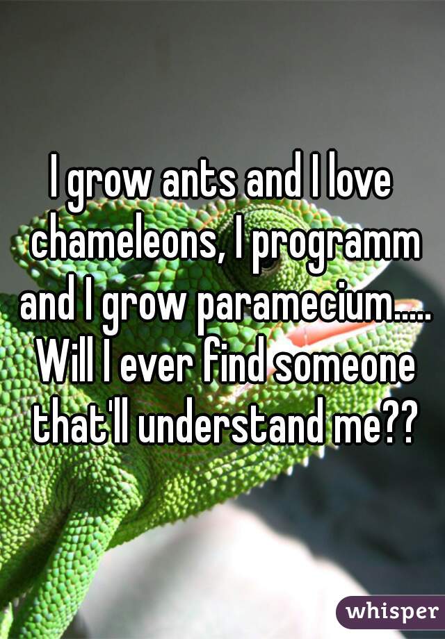 I grow ants and I love chameleons, I programm and I grow paramecium..... Will I ever find someone that'll understand me??