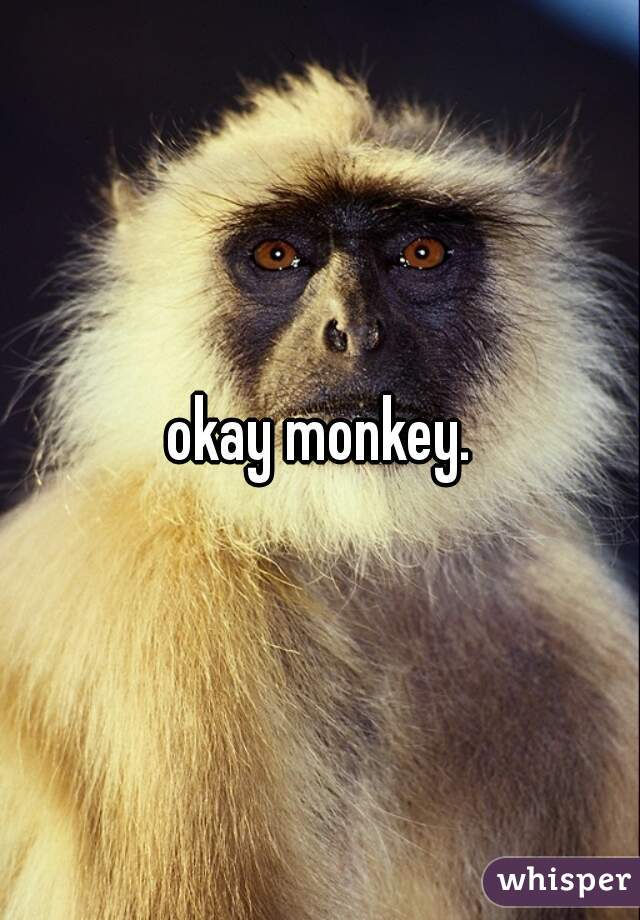 okay monkey.