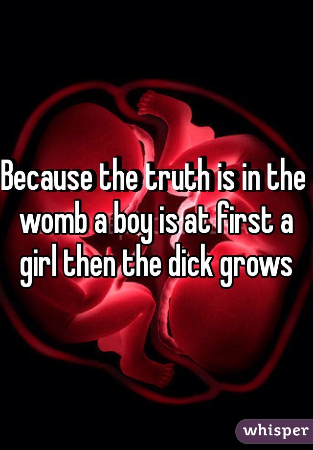 Because the truth is in the womb a boy is at first a girl then the dick grows 