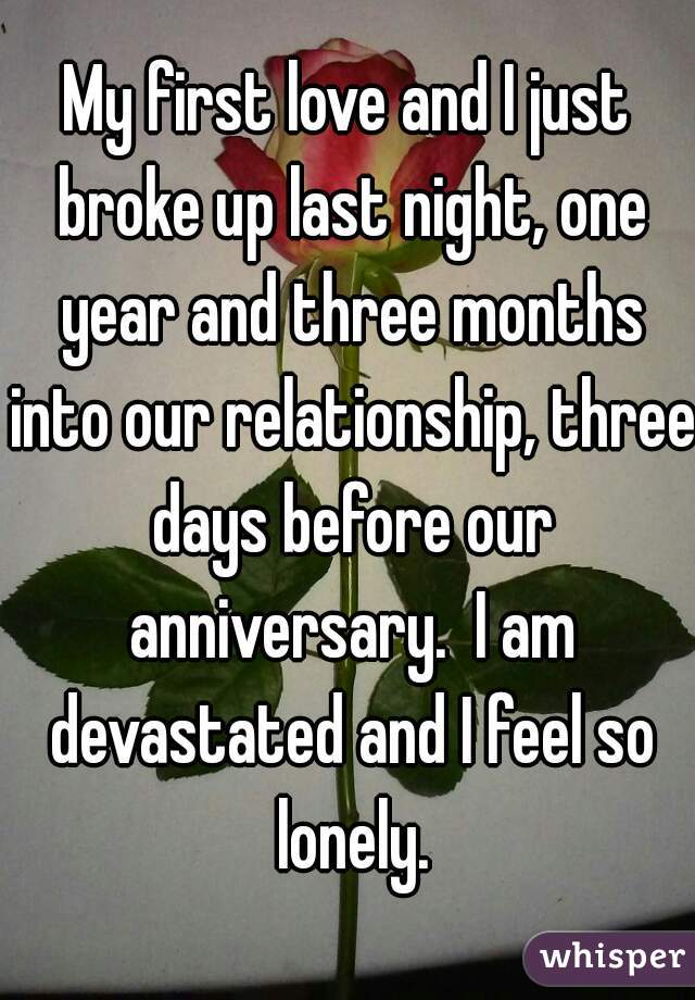 My first love and I just broke up last night, one year and three months into our relationship, three days before our anniversary.  I am devastated and I feel so lonely.