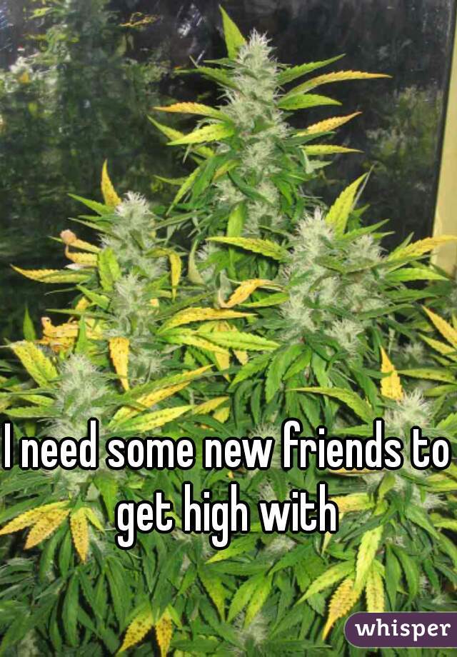 I need some new friends to get high with 