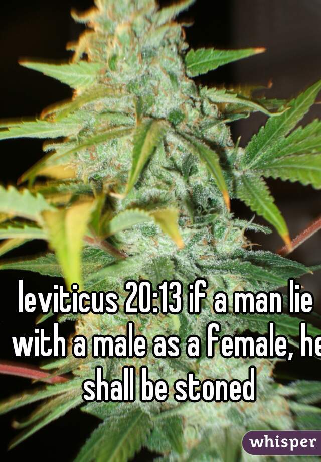 leviticus 20:13 if a man lie with a male as a female, he shall be stoned