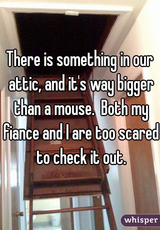 There is something in our attic, and it's way bigger than a mouse.  Both my fiance and I are too scared to check it out.