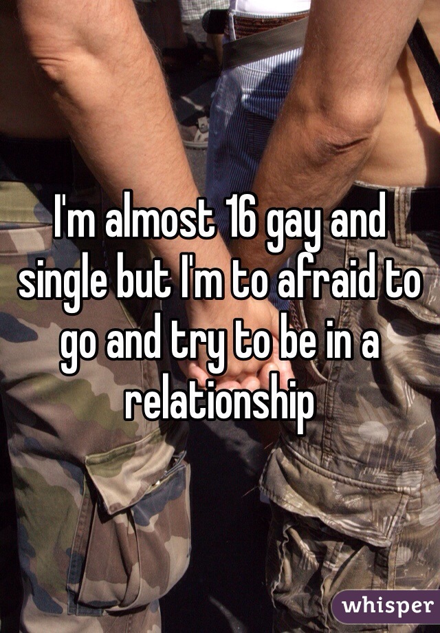 I'm almost 16 gay and single but I'm to afraid to go and try to be in a relationship  