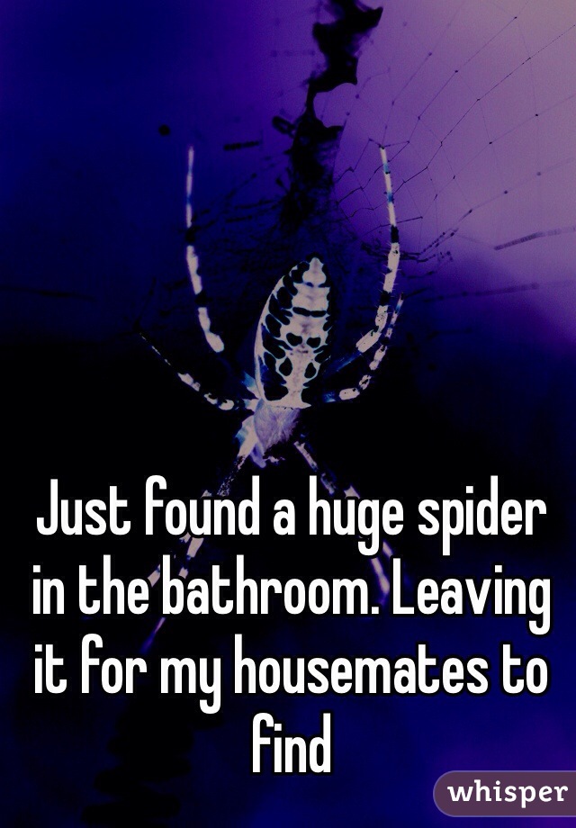 Just found a huge spider in the bathroom. Leaving it for my housemates to find