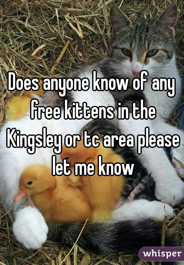 Does anyone know of any free kittens in the Kingsley or tc area please let me know