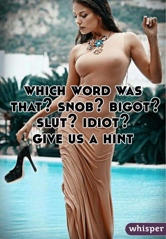 which word was that? snob? bigot? slut? idiot? 
give us a hint