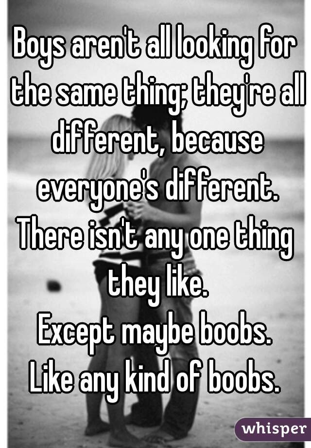 Boys aren't all looking for the same thing; they're all different, because everyone's different.
There isn't any one thing they like.
Except maybe boobs.
Like any kind of boobs.
