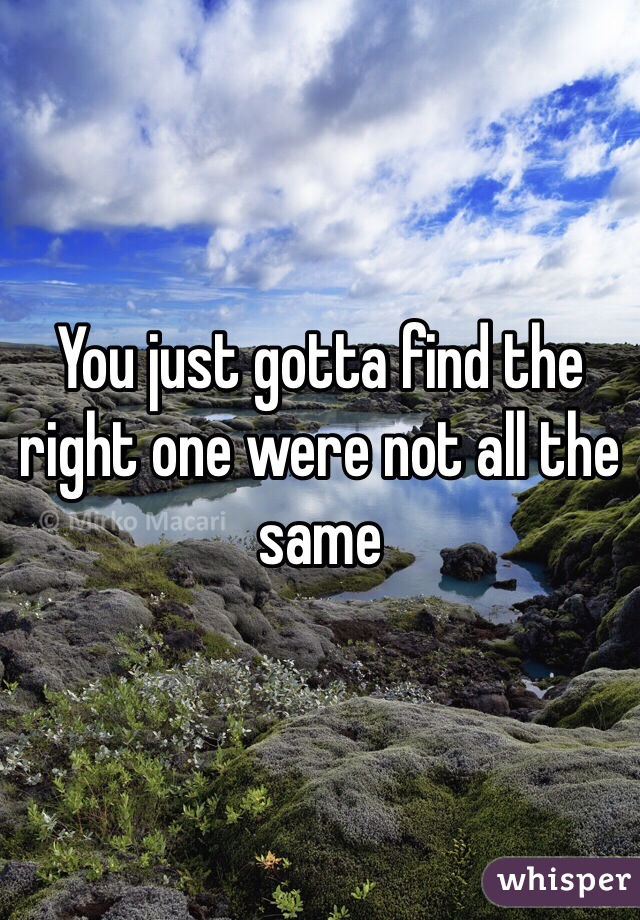 You just gotta find the right one were not all the same 