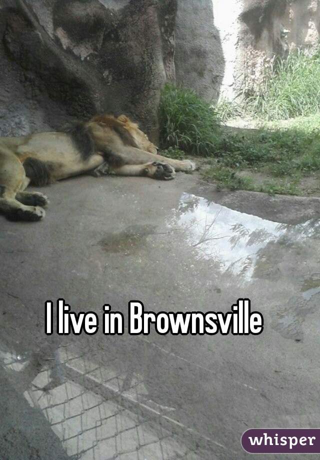 I live in Brownsville