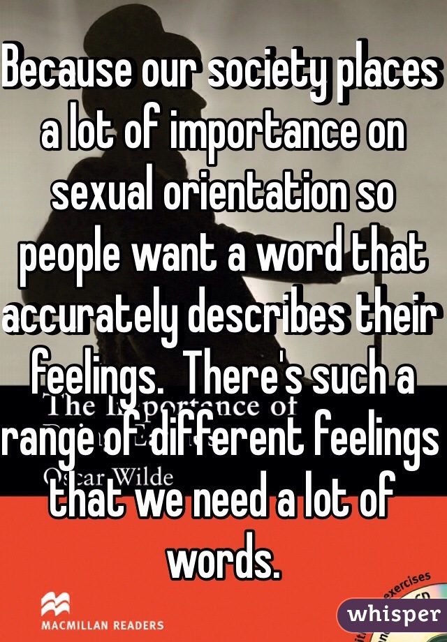 Because our society places a lot of importance on sexual orientation so people want a word that accurately describes their feelings.  There's such a range of different feelings that we need a lot of words.