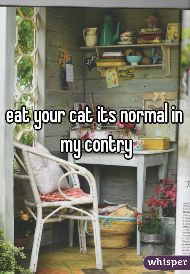 eat your cat its normal in my contry